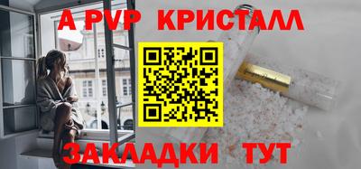 шишки Лесосибирск