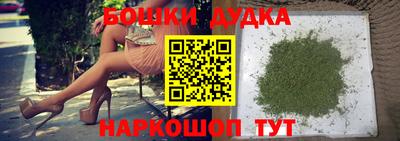 шишки Лесосибирск