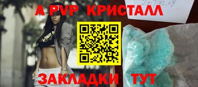 шишки Лесосибирск