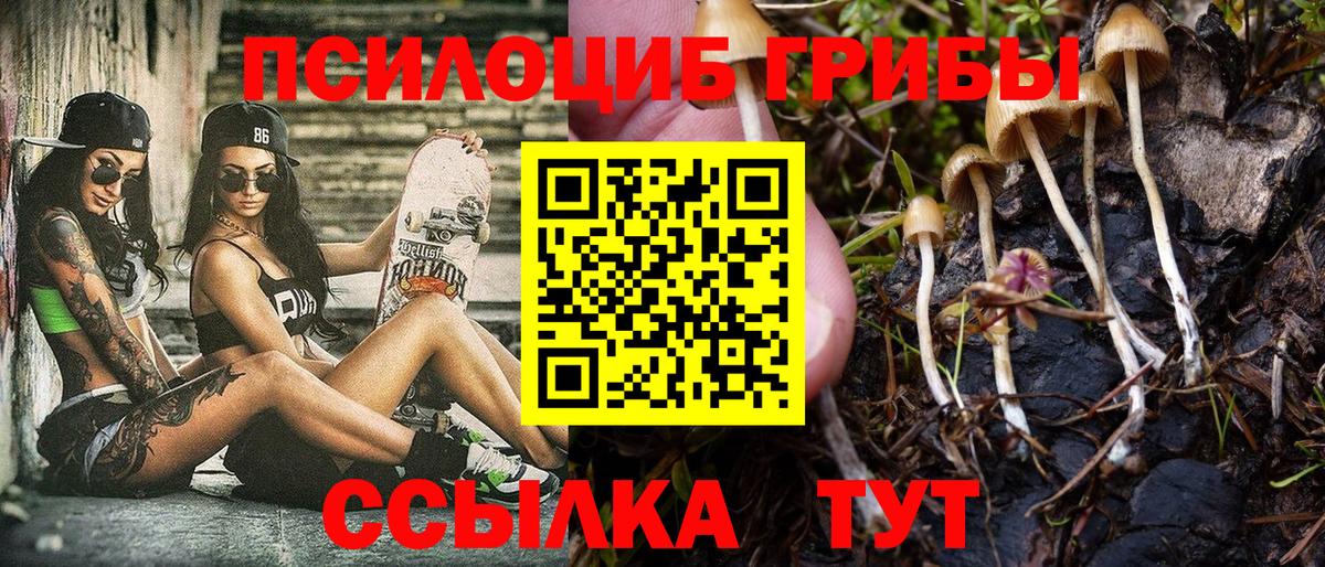 Семёнов  Галлюциногенные грибы ЛСД  Вход с VPN 